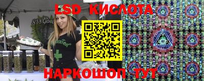 spice Камышлов