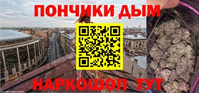 spice Камышлов