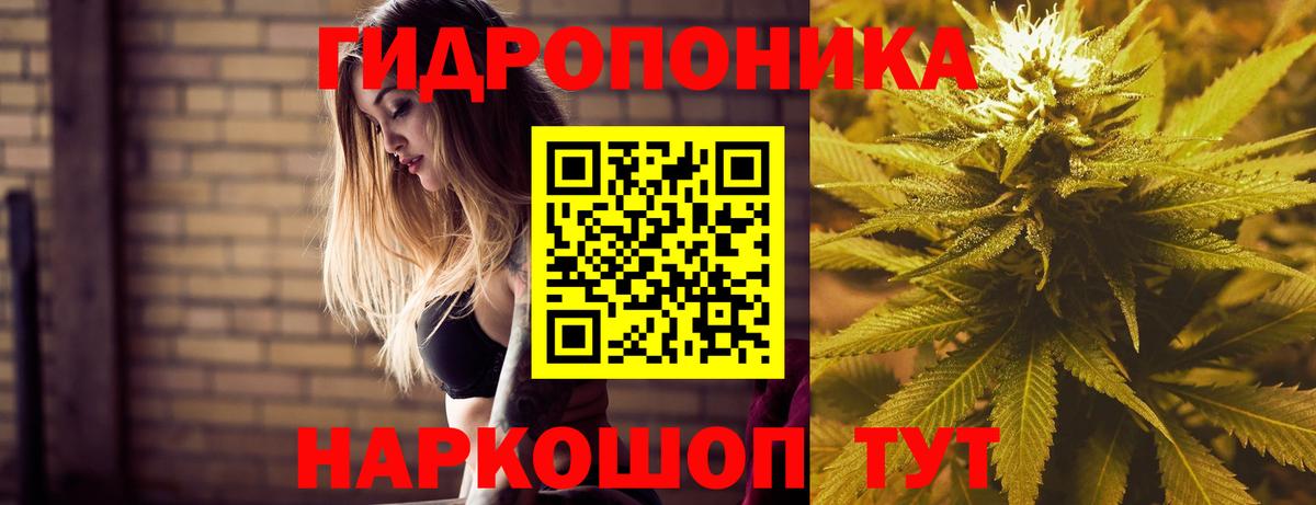 Лениногорск  Каннабис AK-47  Вход с VPN  Марихуана план  Канабис сатива 
